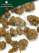 迷蒙花,未硫化的醉鱼草花蕾